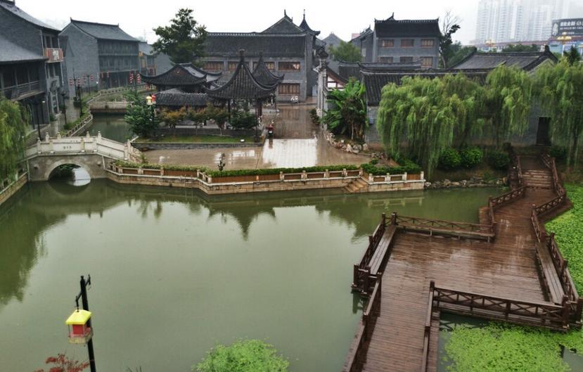 猪猪去冒险